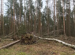 192_iP_220226_IMG_4062