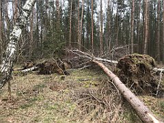 193_iP_220226_IMG_4063