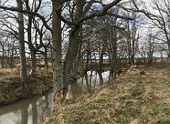 269_iP_220226_IMG_4080