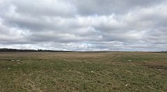 290_iP_220226_IMG_4089