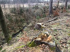 327_iP_220226_IMG_4090