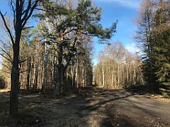 378_iP_220226_IMG_4103