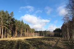 387_iP_220226_IMG_4112