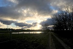 419_iP_220226_IMG_4134