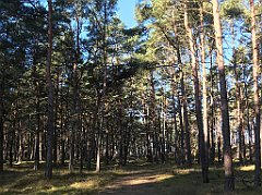 056_iP_220301_IMG_4205