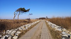 397_p20_IMG_20220301_141131