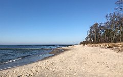 437_iP_220301_IMG_4247