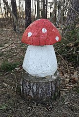 539_p20_IMG_20220301_165701