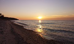 560_p20_IMG_20220301_171025