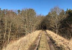 027_iP_220313_IMG_4513