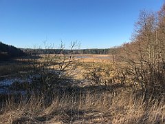 030_iP_220313_IMG_4515