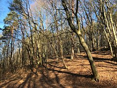 041_iP_220313_IMG_4521