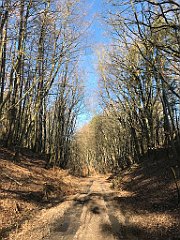 048_iP_220313_IMG_4524