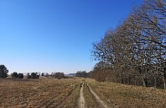 074_p20_IMG_20220313_091335