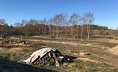 089_iP_220313_IMG_4540