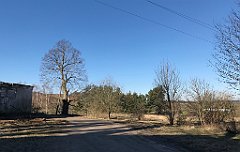 095_iP_220313_IMG_4546