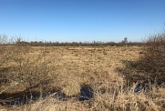 146_iP_220313_IMG_4565