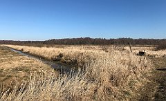 166_iP_220313_IMG_4574