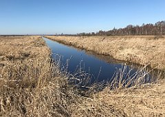 183_iP_220313_IMG_4578