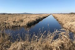 184_iP_220313_IMG_4579