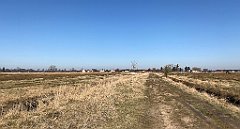 238_iP_220313_IMG_4597