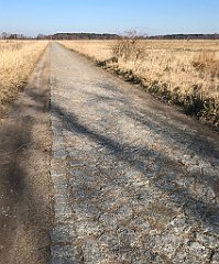 286_iP_220313_IMG_4609