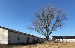 337_iP_220313_IMG_4628