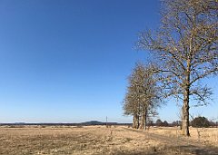 342_iP_220313_IMG_4633