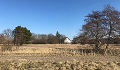 352_iP_220313_IMG_4639