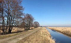 447_iP_220313_IMG_4652