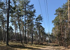 021_iP_220320_IMG_4702