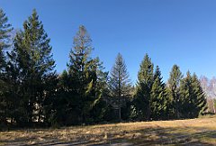 033_iP_220320_IMG_4717