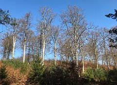 066_iP_220320_IMG_4730