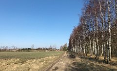 177_iP_220320_IMG_4750