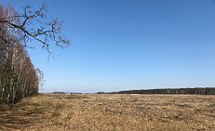 213_iP_220320_IMG_4754