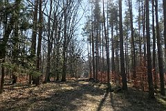 217_iP_220320_IMG_4757