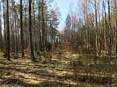 218_iP_220320_IMG_4759