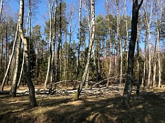 220_iP_220320_IMG_4761