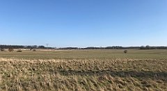 294_iP_220320_IMG_4778