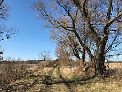 311_iP_220320_IMG_4788