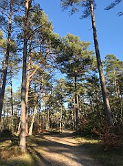 370_iP_220320_IMG_4803