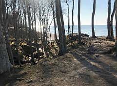 398_iP_220320_IMG_4804