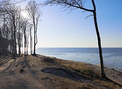 424_p20_IMG_20220320_155052