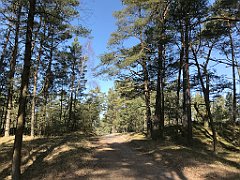 233_iP_220325_IMG_4845