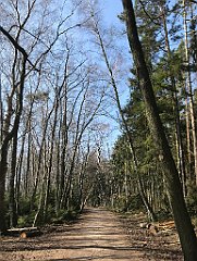 270_iP_220325_IMG_4852