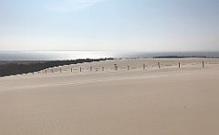 333_iP_220325_IMG_4863