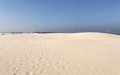 336_iP_220325_IMG_4866