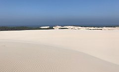 365_iP_220325_IMG_4879