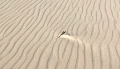 380_iP_220325_IMG_4892