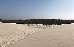 387_iP_220325_IMG_4903